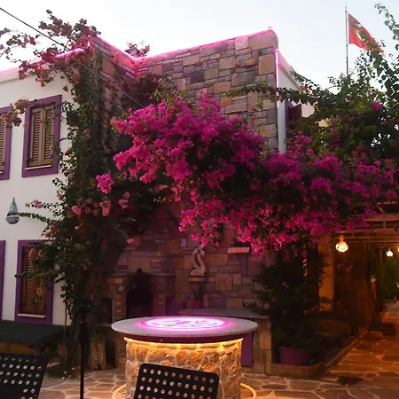 Pepecura Motel *