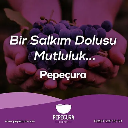 Pepecura