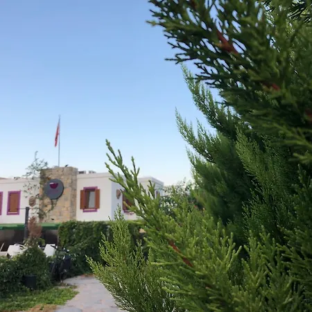 Pepecura Бодрум