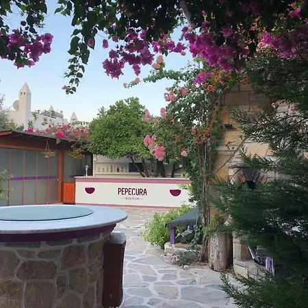 Pepecura Бодрум