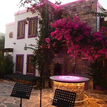 Pepecura Motel